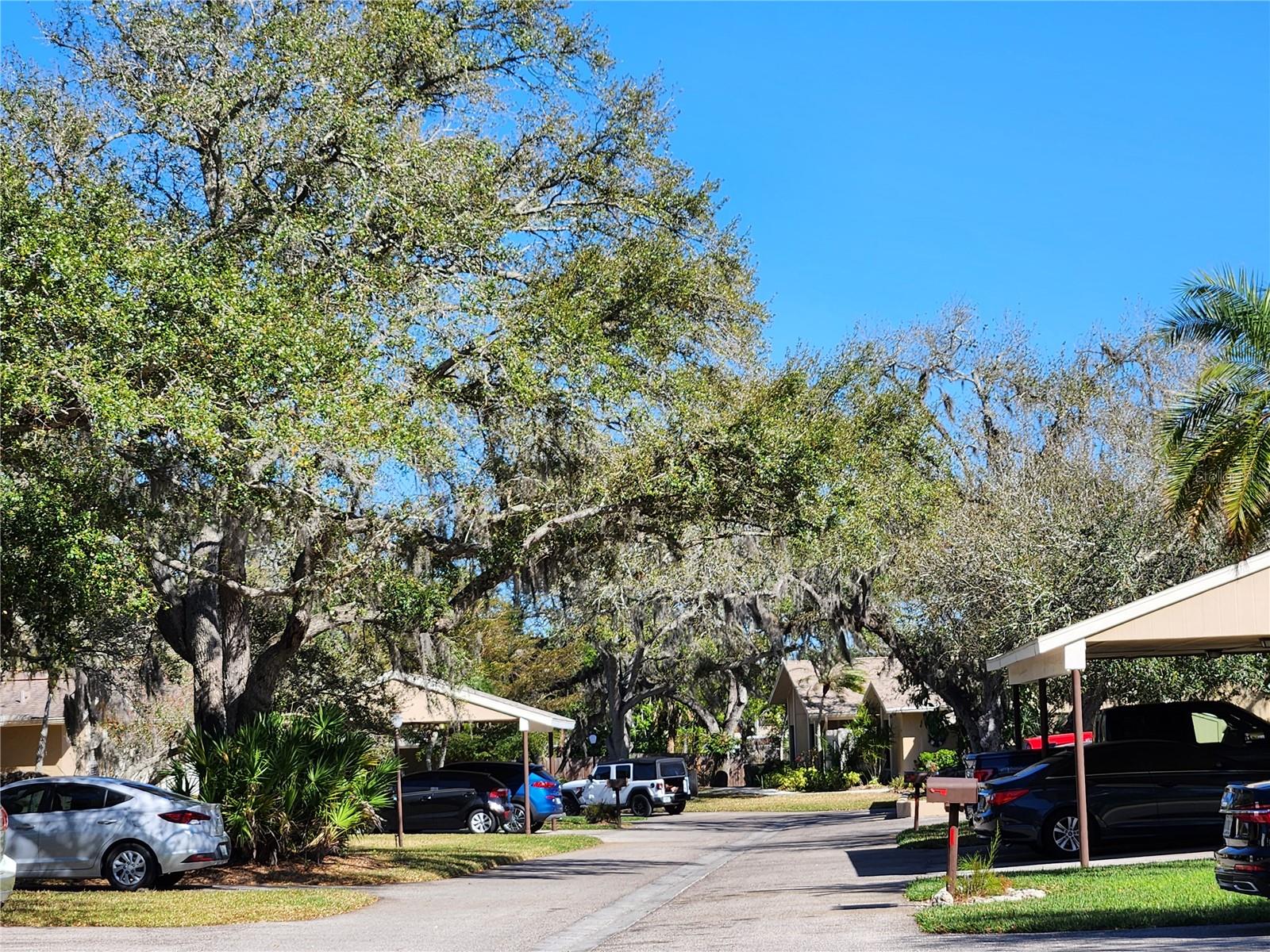 3439 TALLYWOOD LN #7139