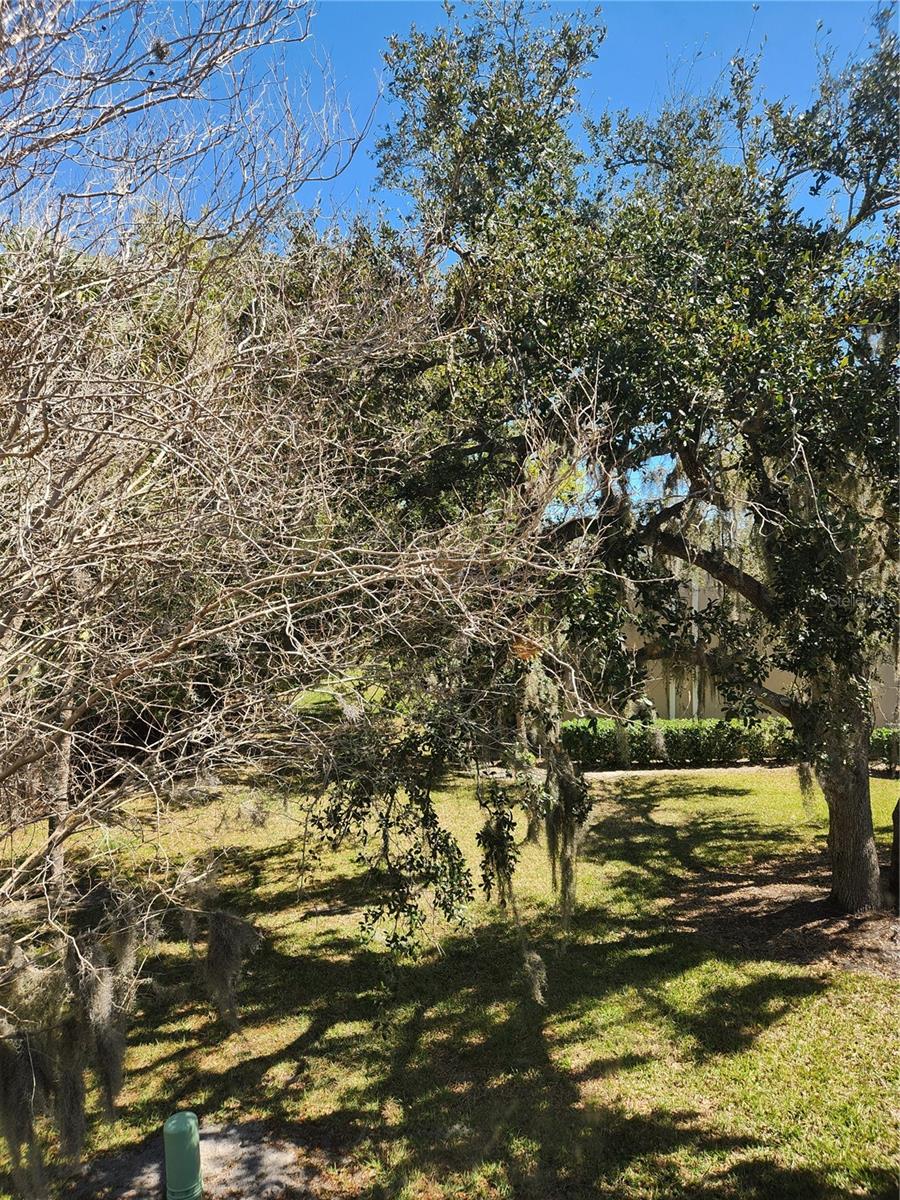 3439 TALLYWOOD LN #7139