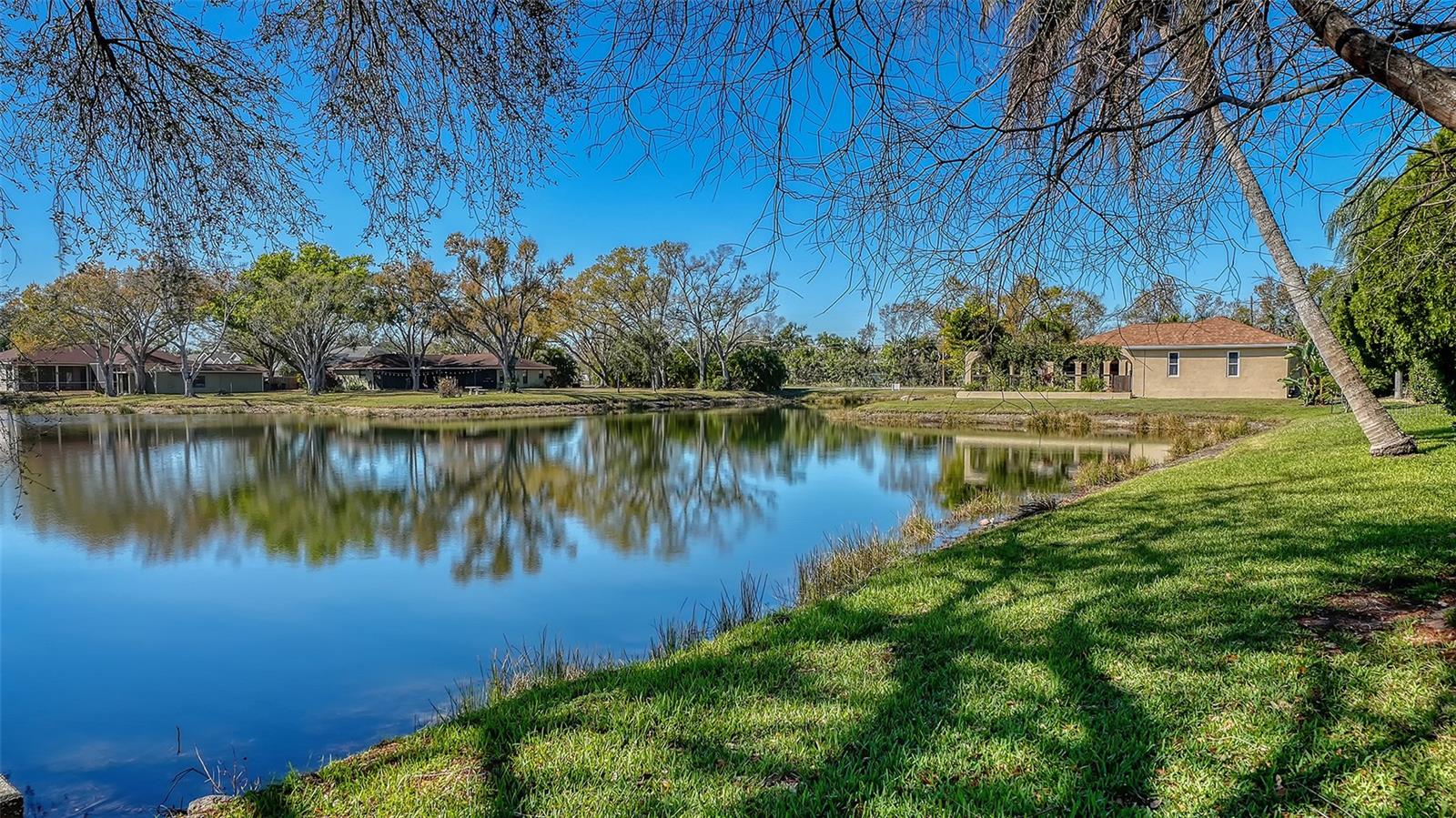 5566 MAGNOLIA TREE TER