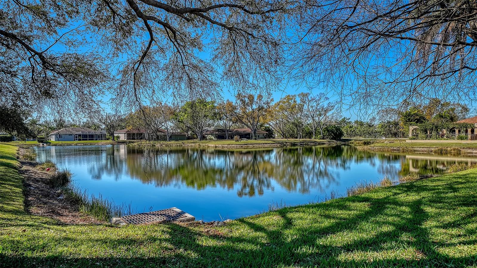 5566 MAGNOLIA TREE TER