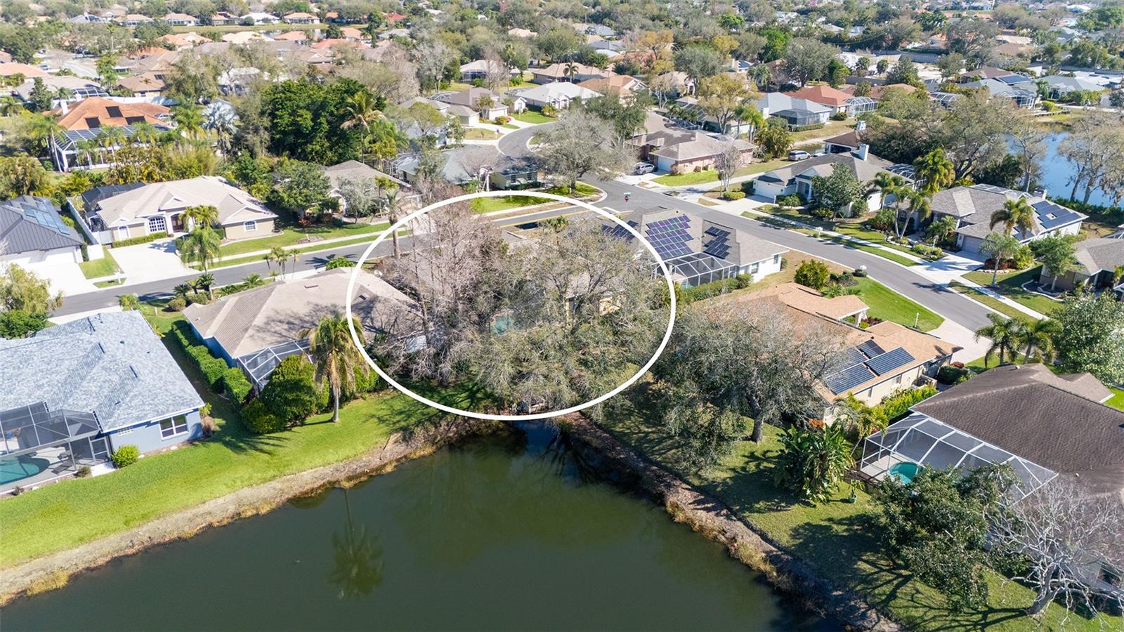 5566 MAGNOLIA TREE TER