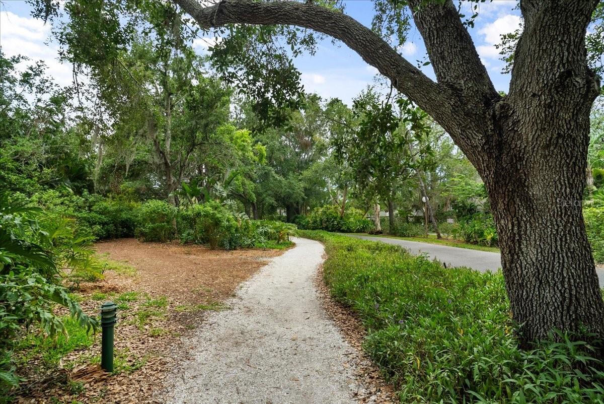 1711 PELICAN COVE RD #341