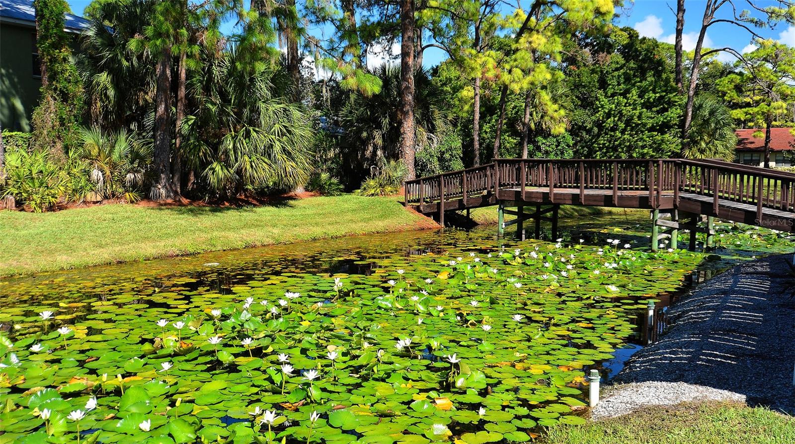 3784 PINECONE CT #159