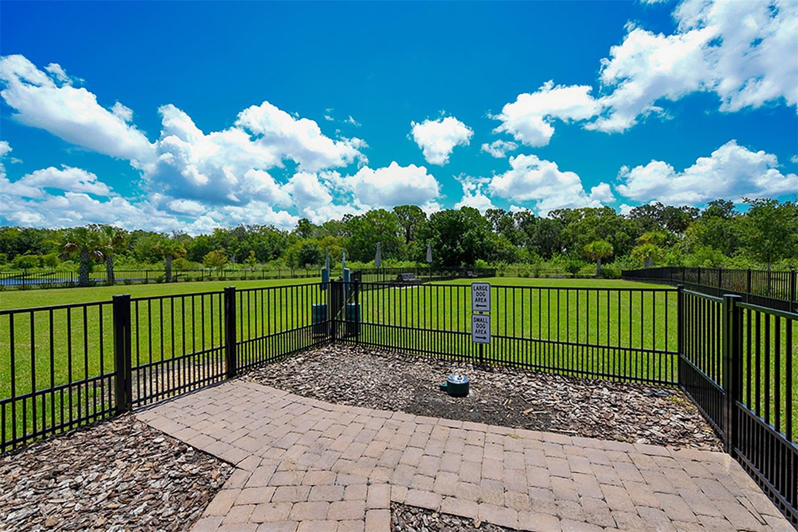 13720 SAW PALM CREEK TRL