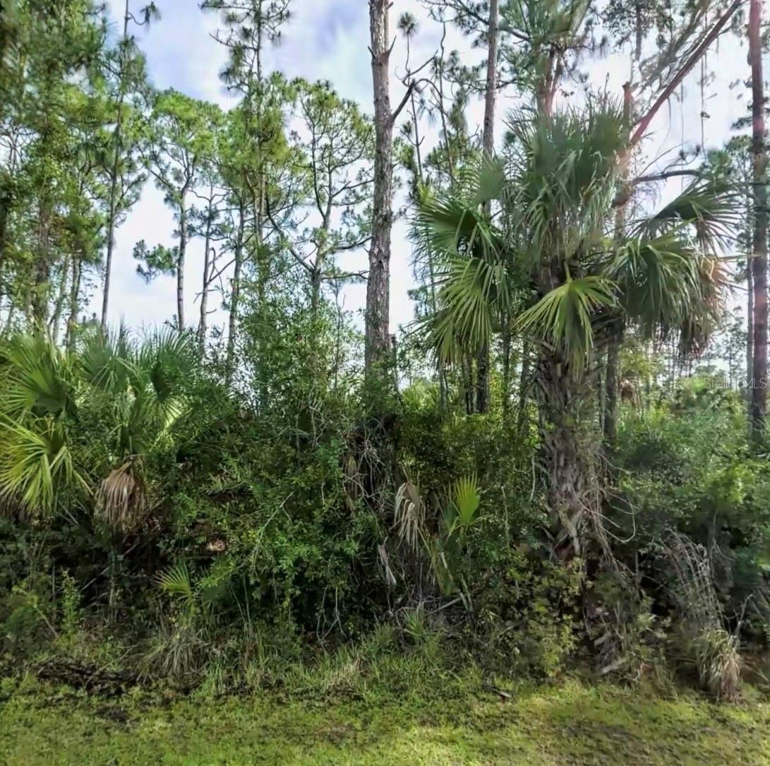 Lot 17 DONATELLO AVE