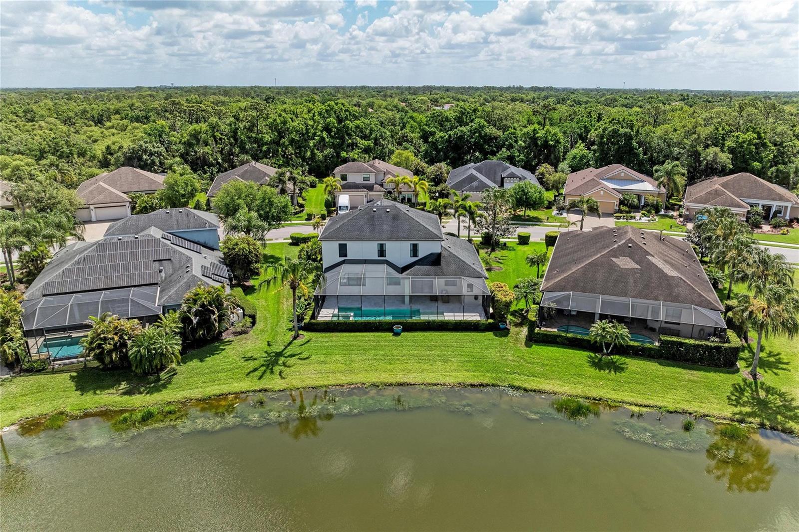 826 HONEYFLOWER LOOP