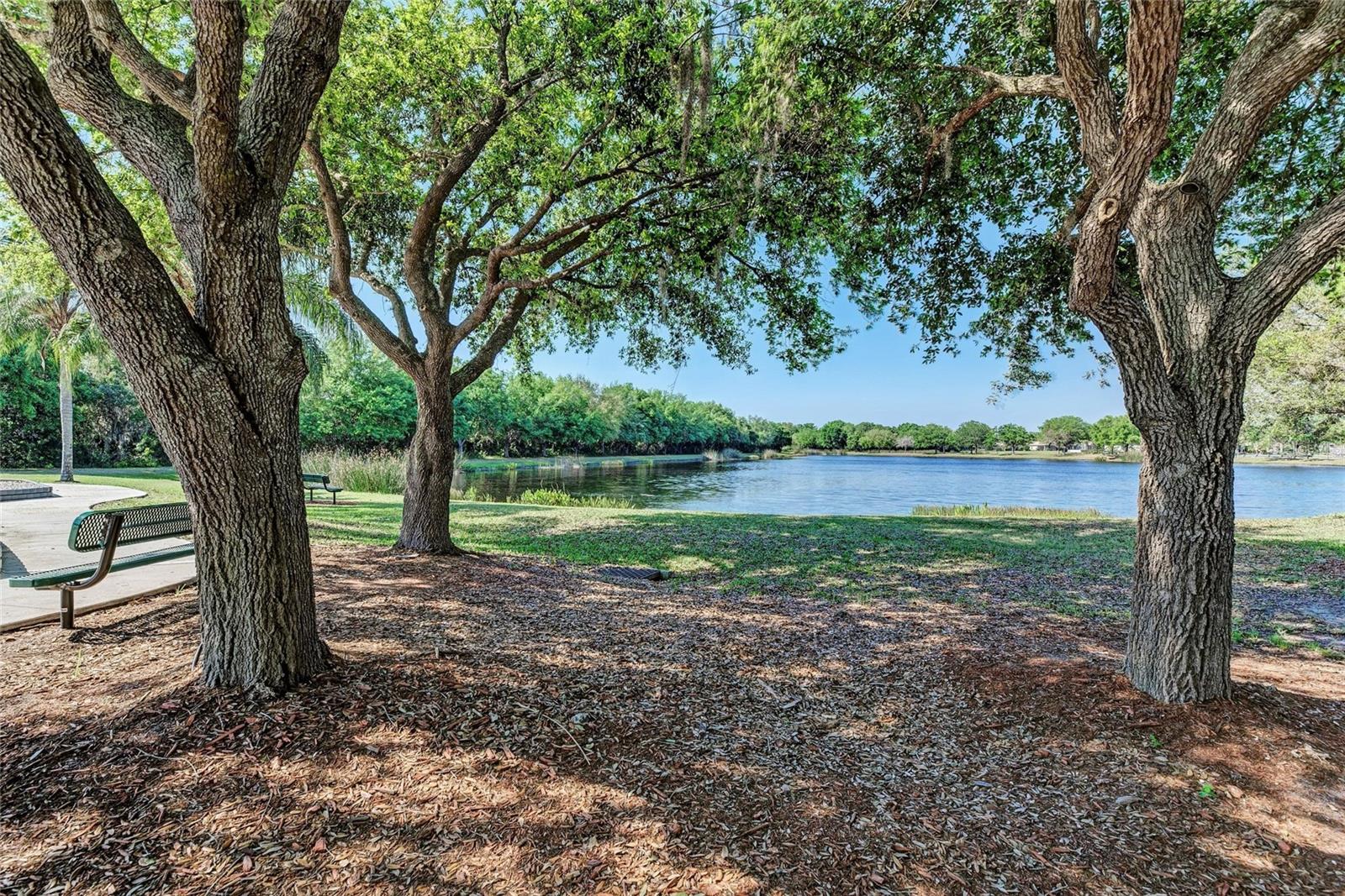 826 HONEYFLOWER LOOP