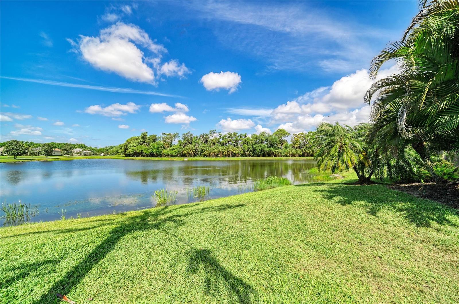 826 HONEYFLOWER LOOP