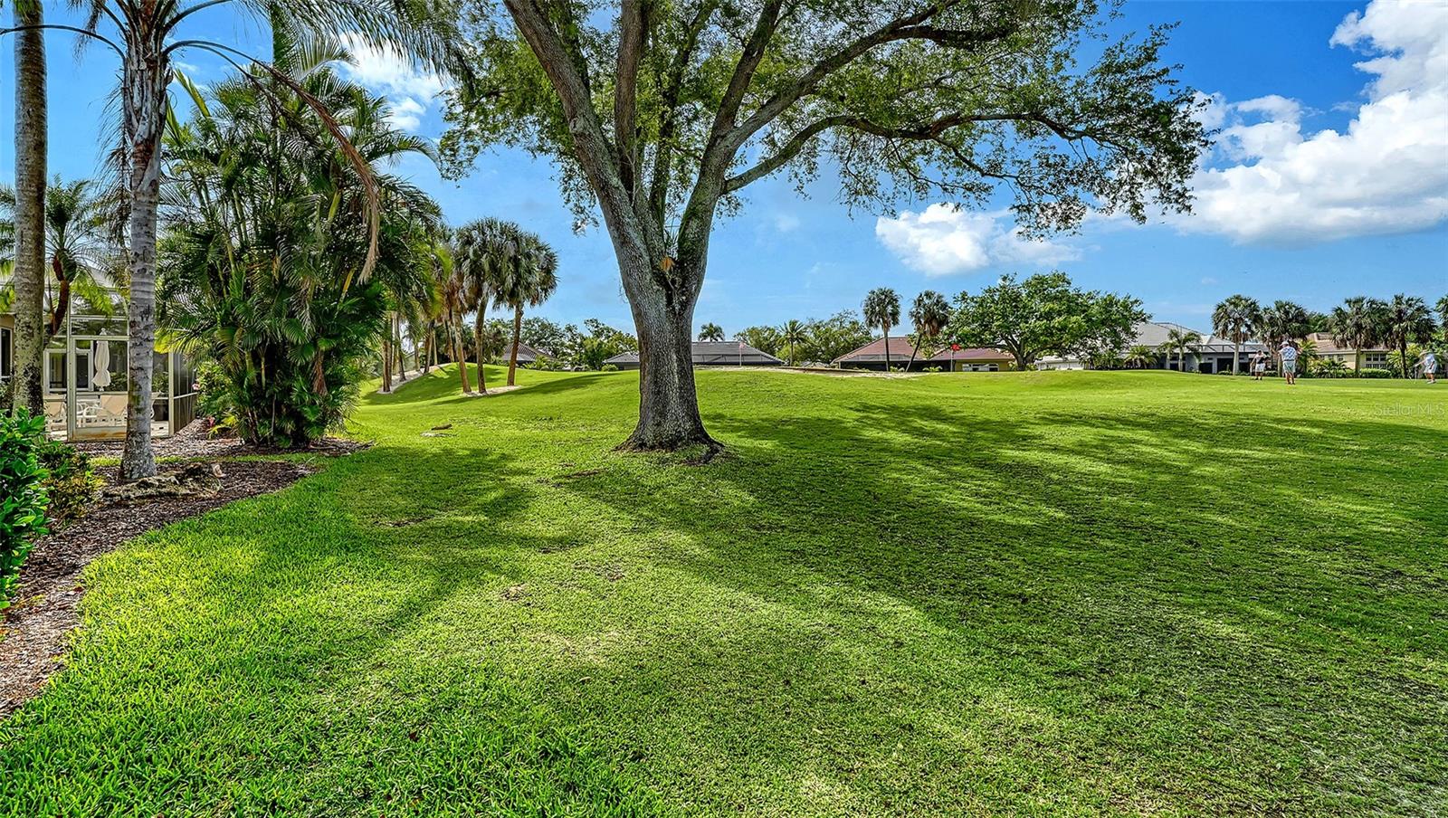 533 FALLBROOK DR