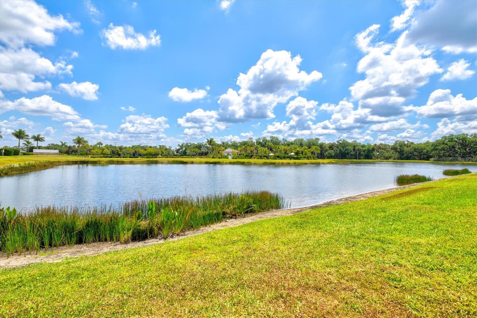 10254 MORNING MIST LN