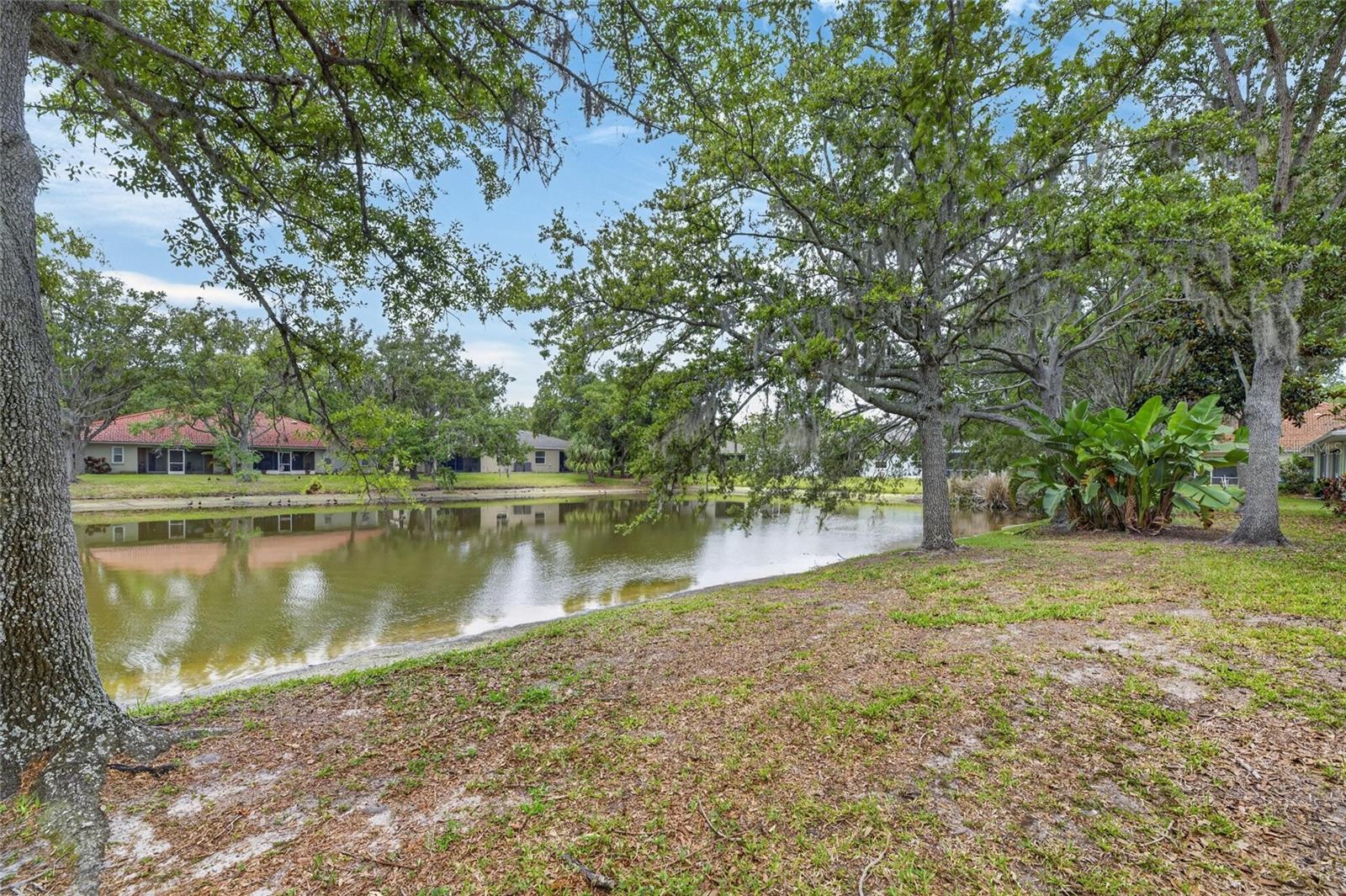 216 51ST STREET CIR E