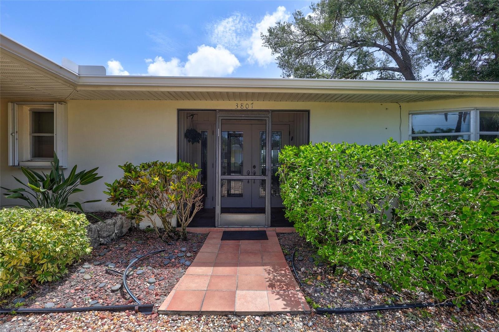 3807 JAFFA DR