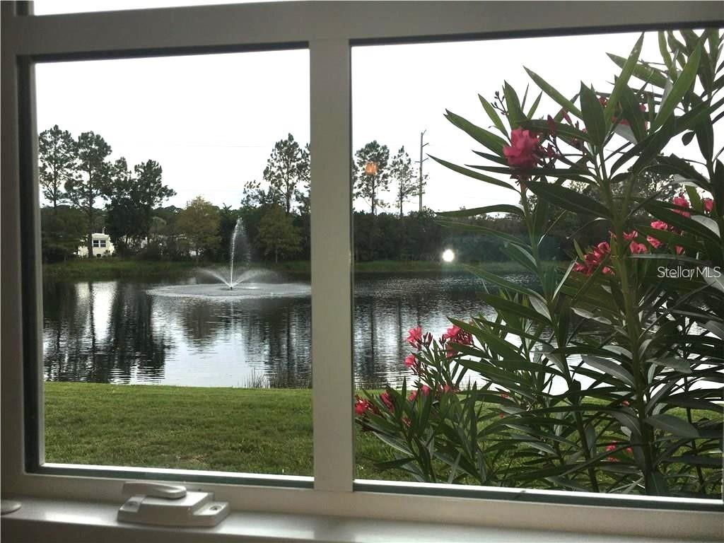 SARASOTA