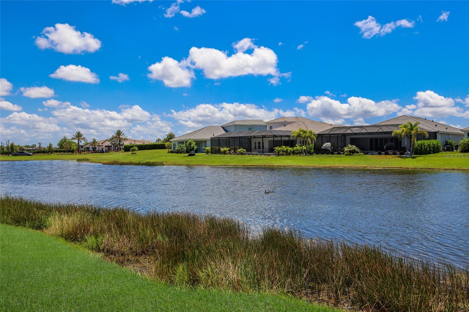 17828 GULF RANCH PL