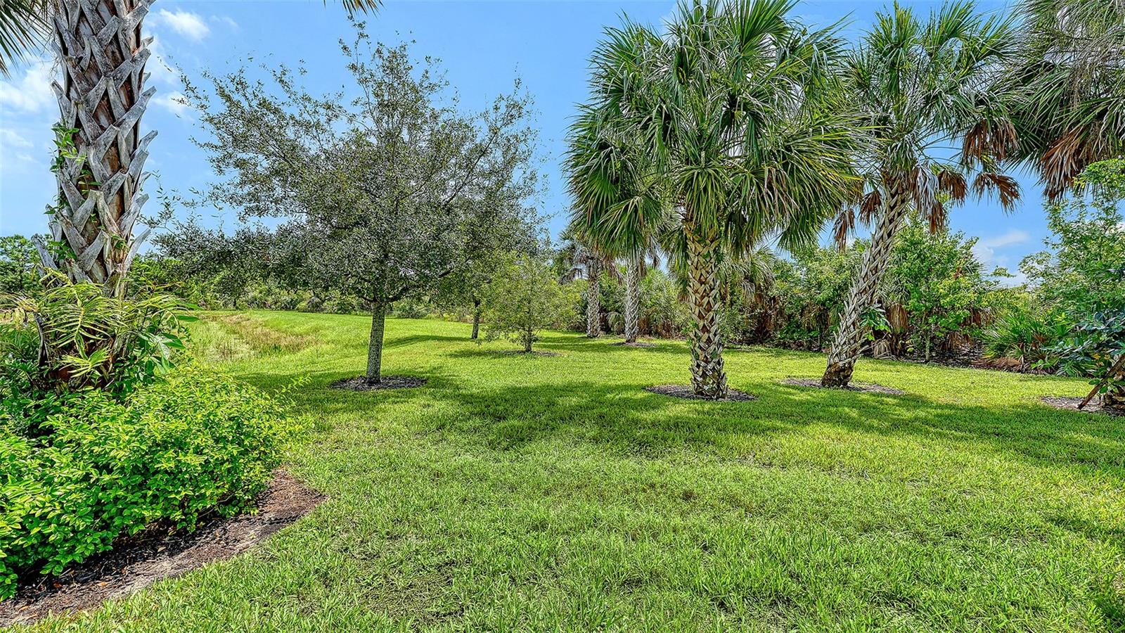 12422 WOOD FERN CT