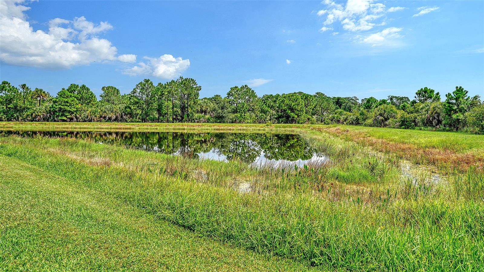 12422 WOOD FERN CT