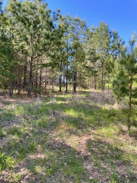 PR 6294 Private Road 6294