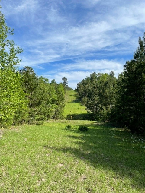 PR 6294 Private Road 6294