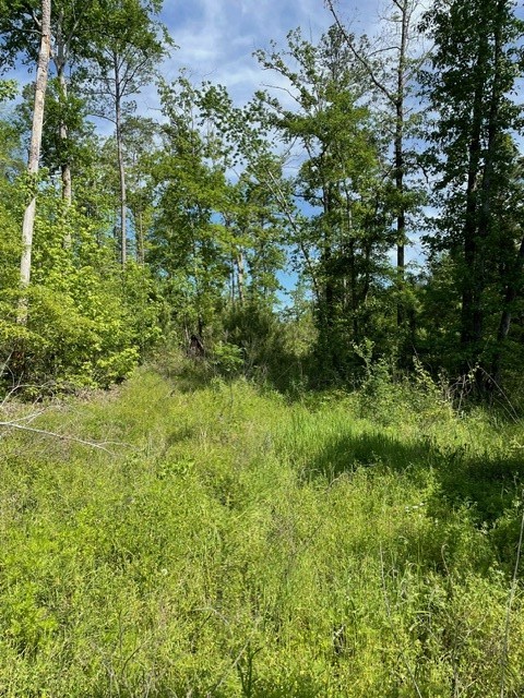 PR 6294 Private Road 6294