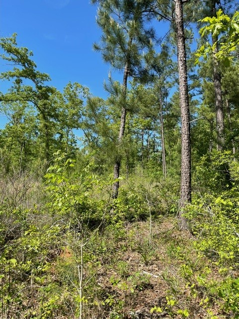 PR 6294 Private Road 6294