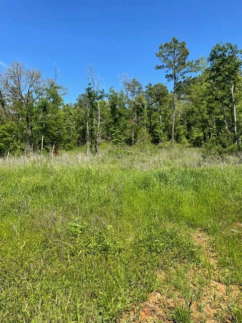 PR 6294 Private Road 6294