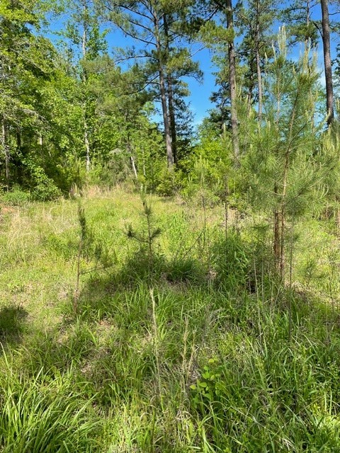 PR 6294 Private Road 6294