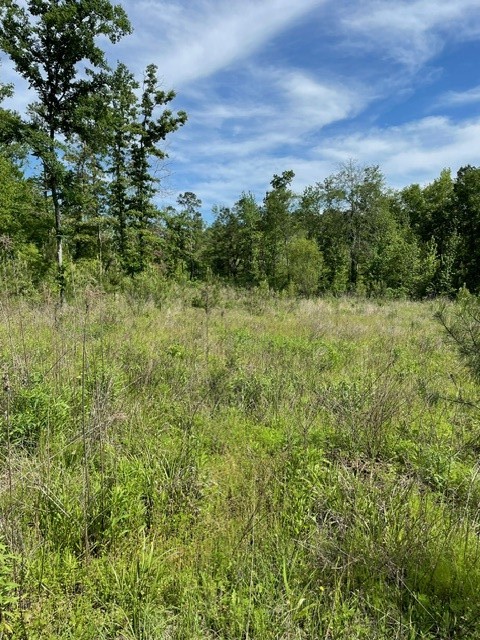 PR 6294 Private Road 6294