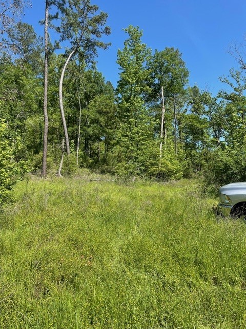PR 6294 Private Road 6294