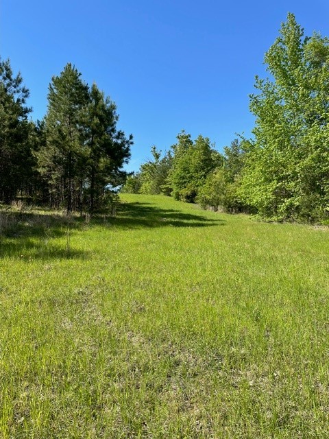 PR 6294 Private Road 6294