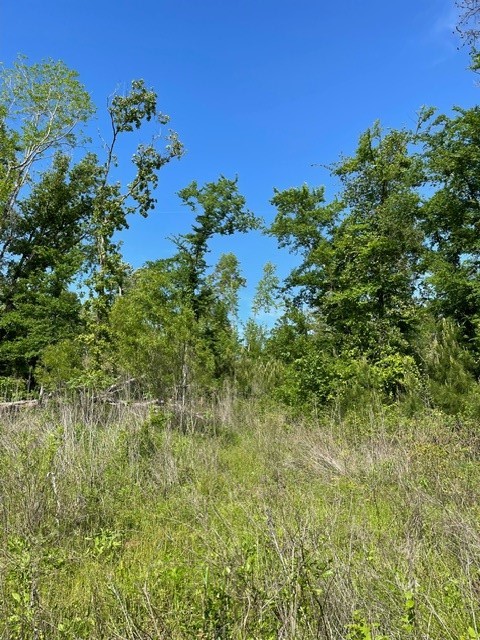 PR 6294 Private Road 6294