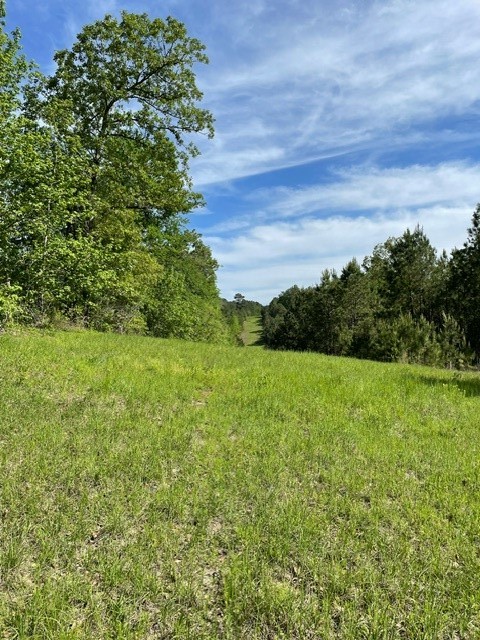 PR 6294 Private Road 6294