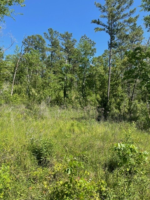 PR 6294 Private Road 6294