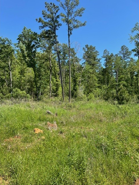 PR 6294 Private Road 6294