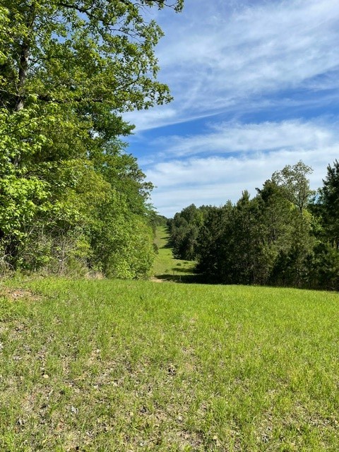 PR 6294 Private Road 6294