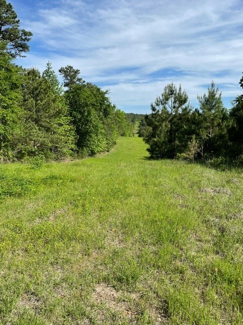 PR 6294 Private Road 6294