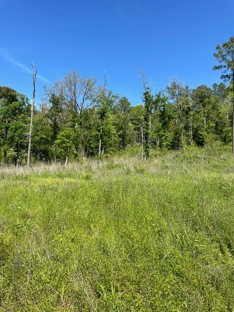 PR 6294 Private Road 6294