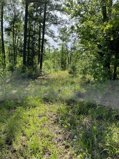 PR 6294 Private Road 6294