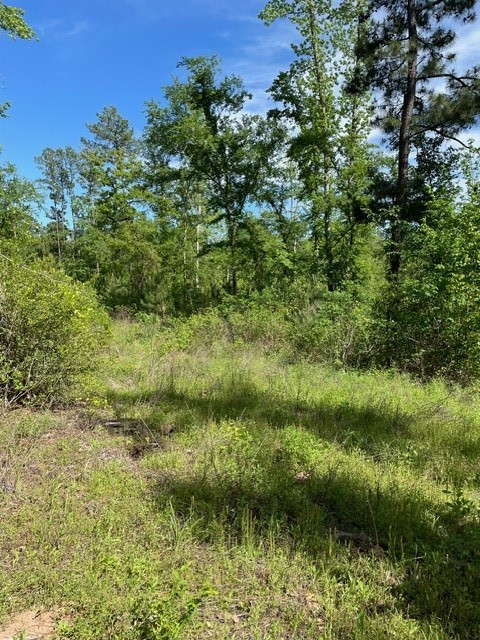 PR 6294 Private Road 6294