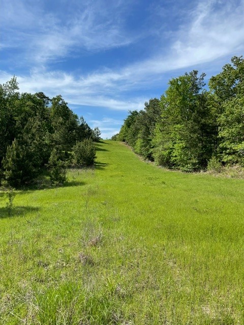 PR 6294 Private Road 6294