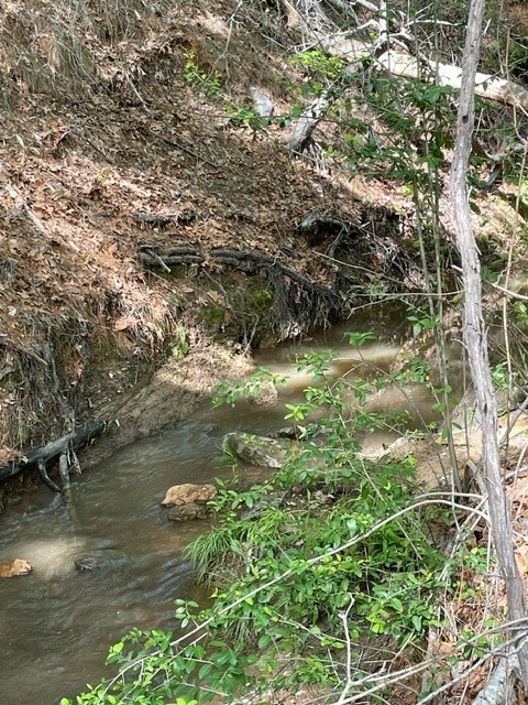 PR 6294 Private Road 6294