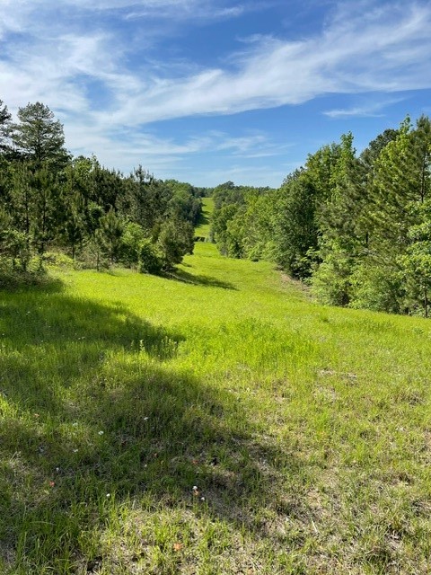 PR 6294 Private Road 6294