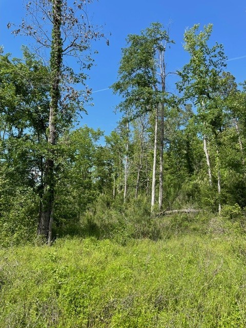 PR 6294 Private Road 6294