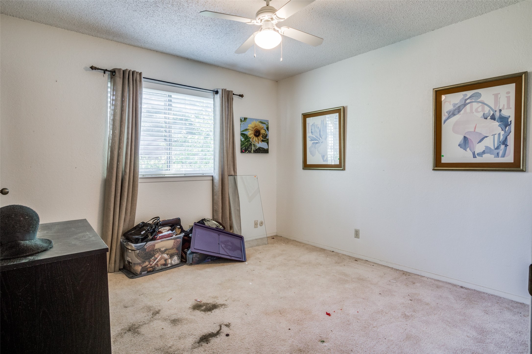 313 Pebblestone Drive