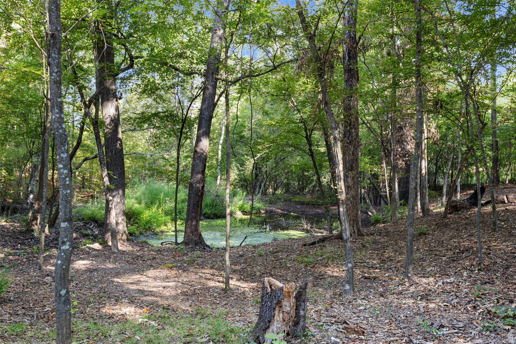 448 Private Road 6685