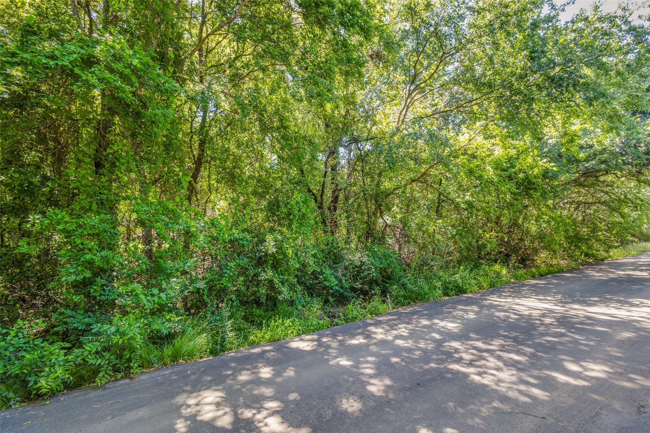 2124 Moonlight Bay