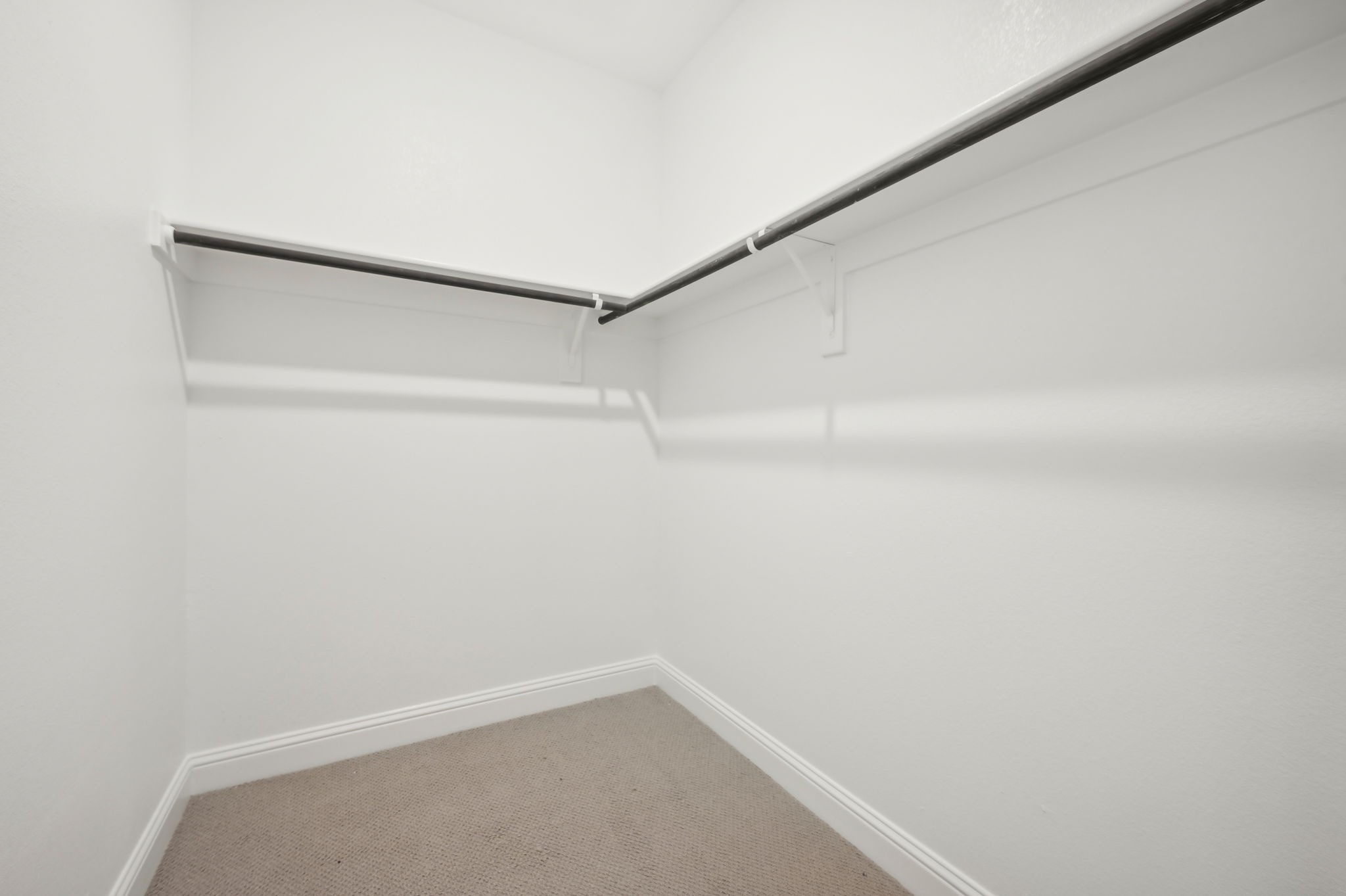 9557 Rattlesnake Trail