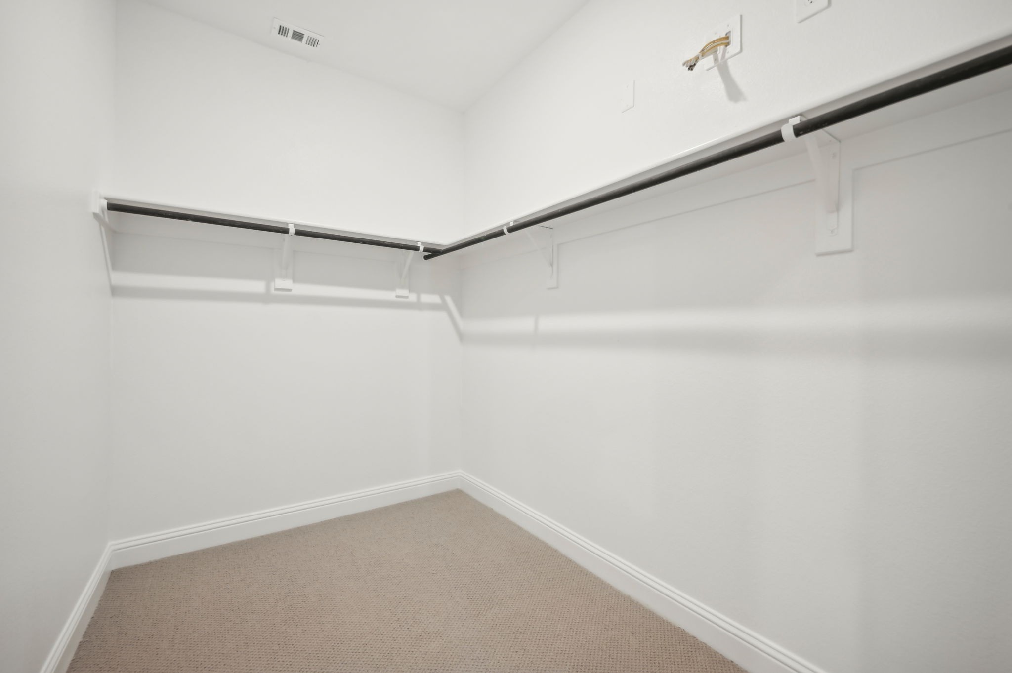 9557 Rattlesnake Trail