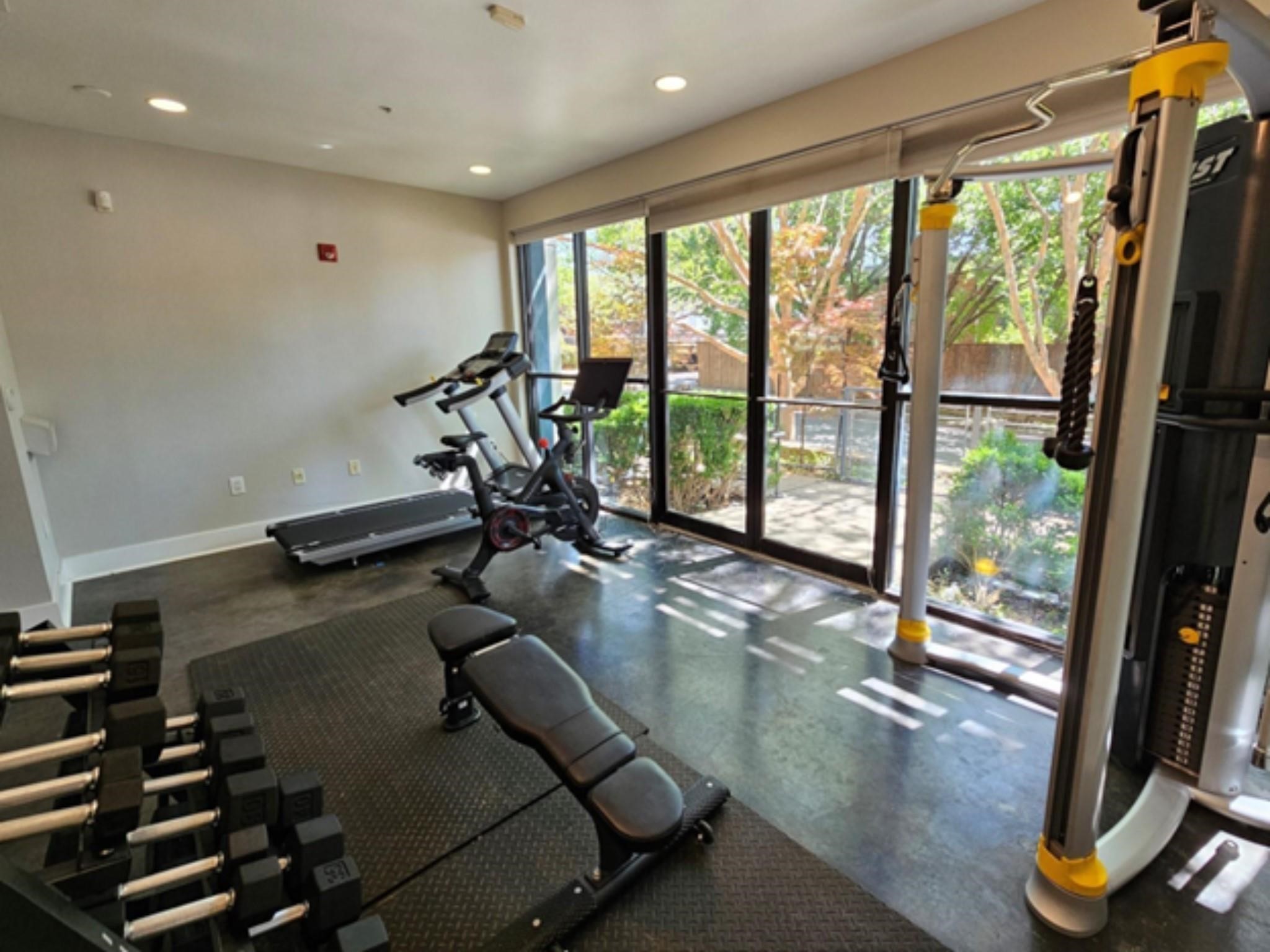 4414 Cedar Springs Road 323