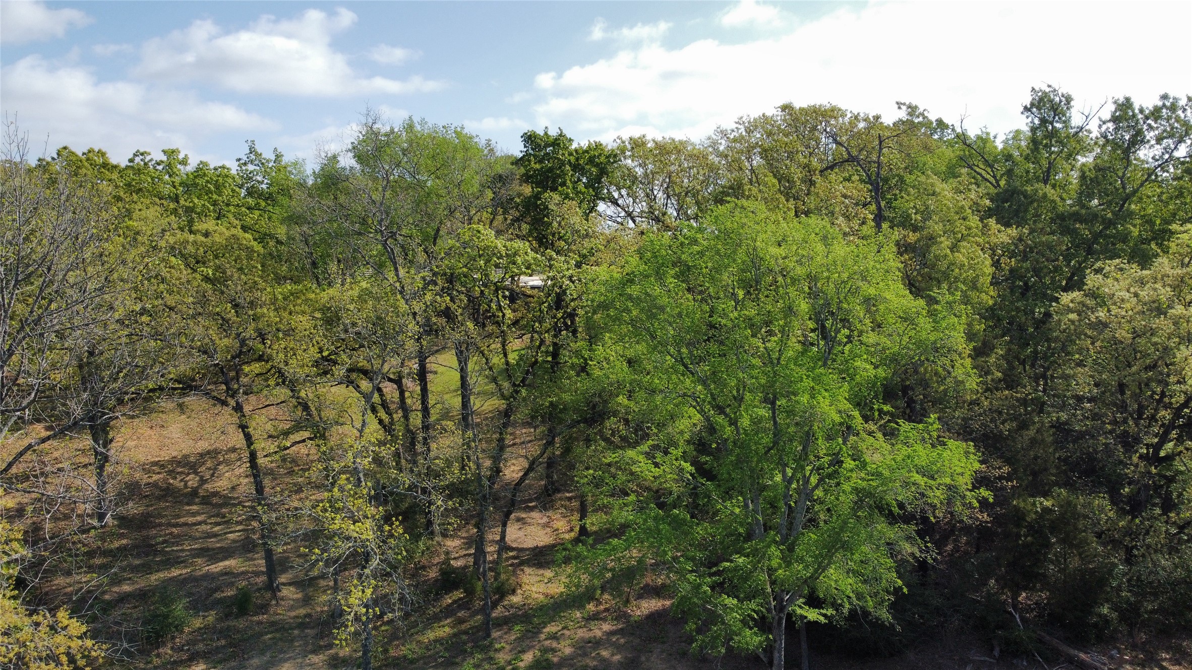 6075 County Road 1411