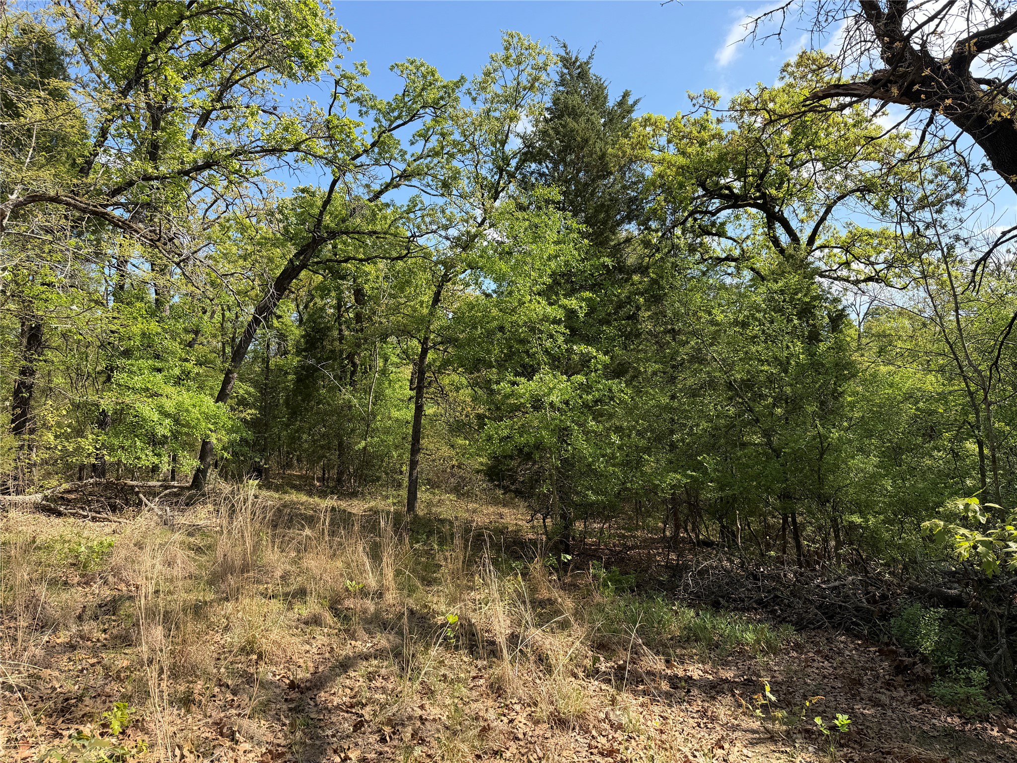 6075 County Road 1411